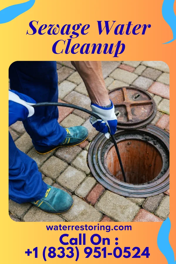 Sewage Water Cleanup in Moss Bluff, LA